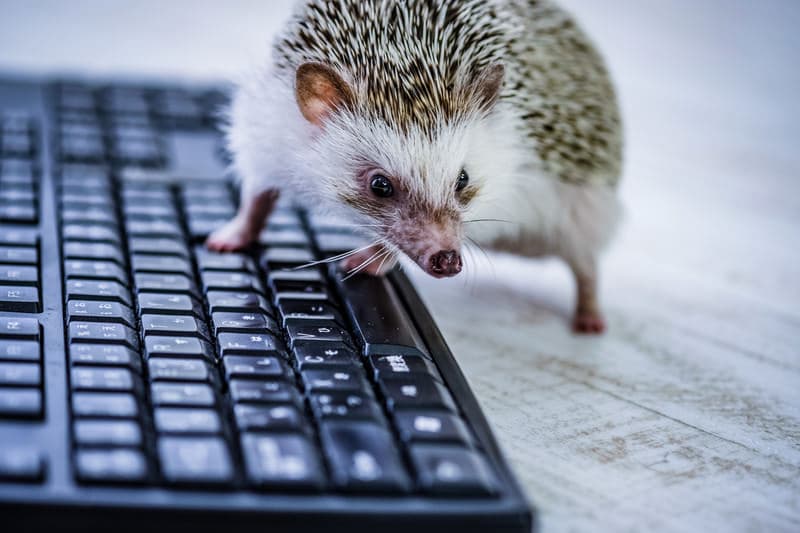 Cover Image for 漠然とした動機でもどうにかなる！元受託エンジニアが自社開発企業への転職で得たもの